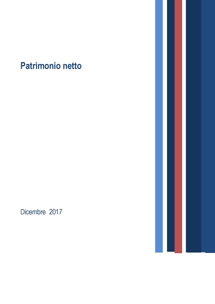 SOCIETA' - Patrimonio netto 