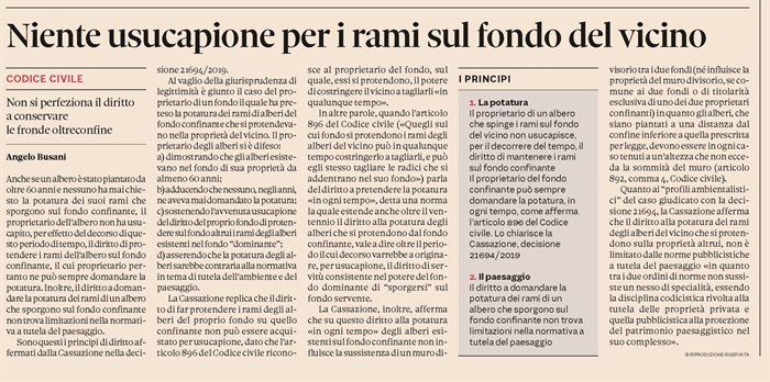 USUCAPIONE - Irrilevanti i rami che da 60 anni sporgono sul fondo del vicino